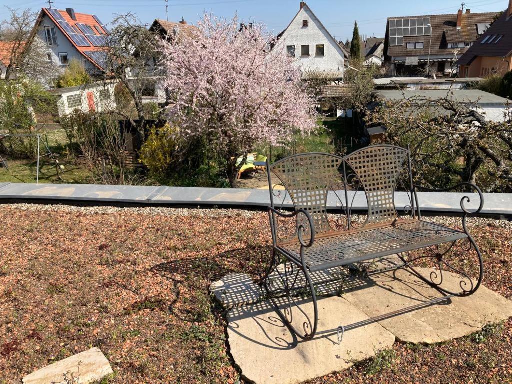 Terrassenwohnung Neustadt an der Weinstraße Extérieur photo